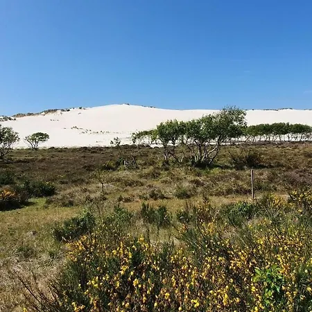 Buitenplaats 109 Comfortable Holiday home